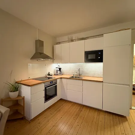 And Cozy 3-room With Balcony And Dux Bed Oslo